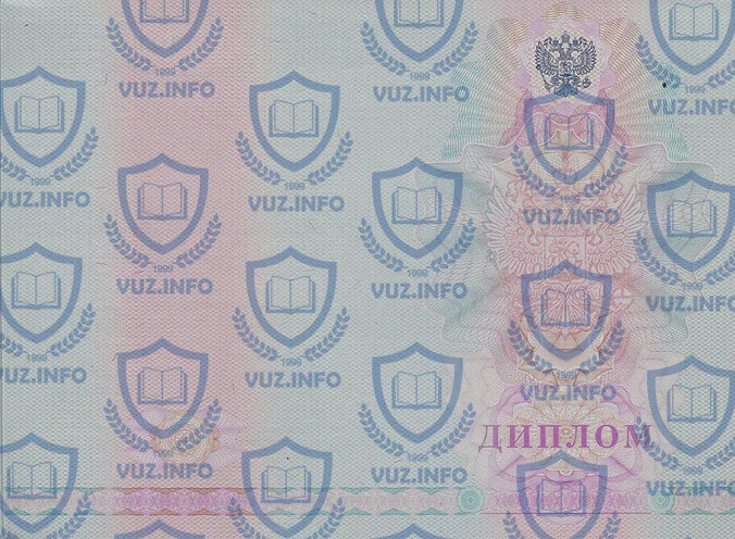 Диплом техникума, колледжа 2010 2009 2008 годов окончания - обратная сторона